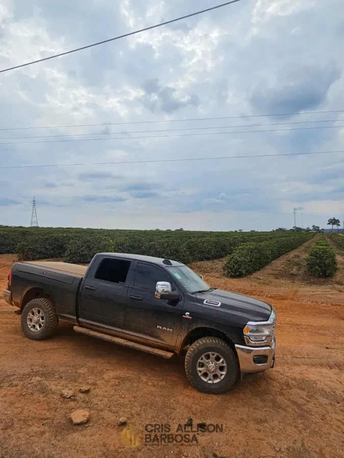 Imagem de FAZENDA À VENDA EM SETUBINHA-MG.