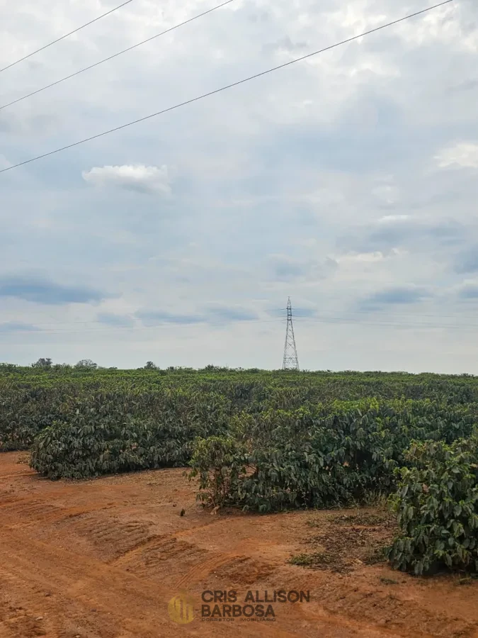 Imagem de FAZENDA À VENDA EM SETUBINHA-MG.