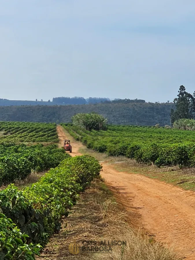 Imagem de FAZENDA À VENDA EM SETUBINHA-MG.