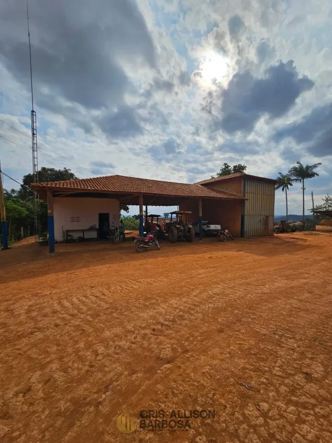 Imagem de FAZENDA À VENDA EM SETUBINHA-MG.