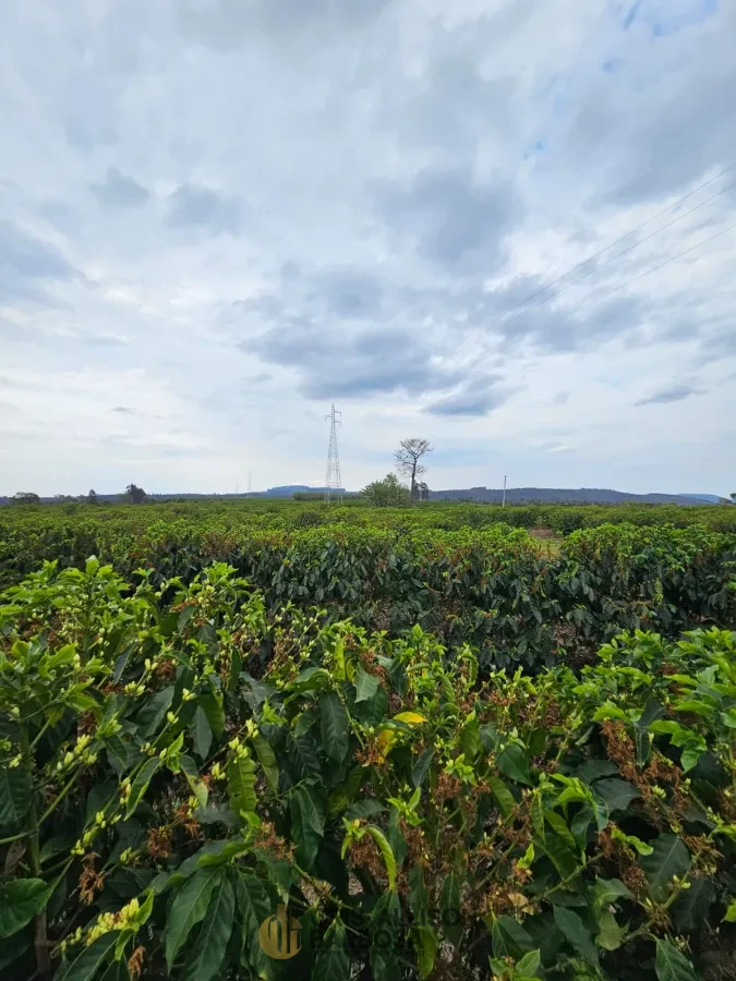 Imagem de FAZENDA À VENDA EM SETUBINHA-MG.
