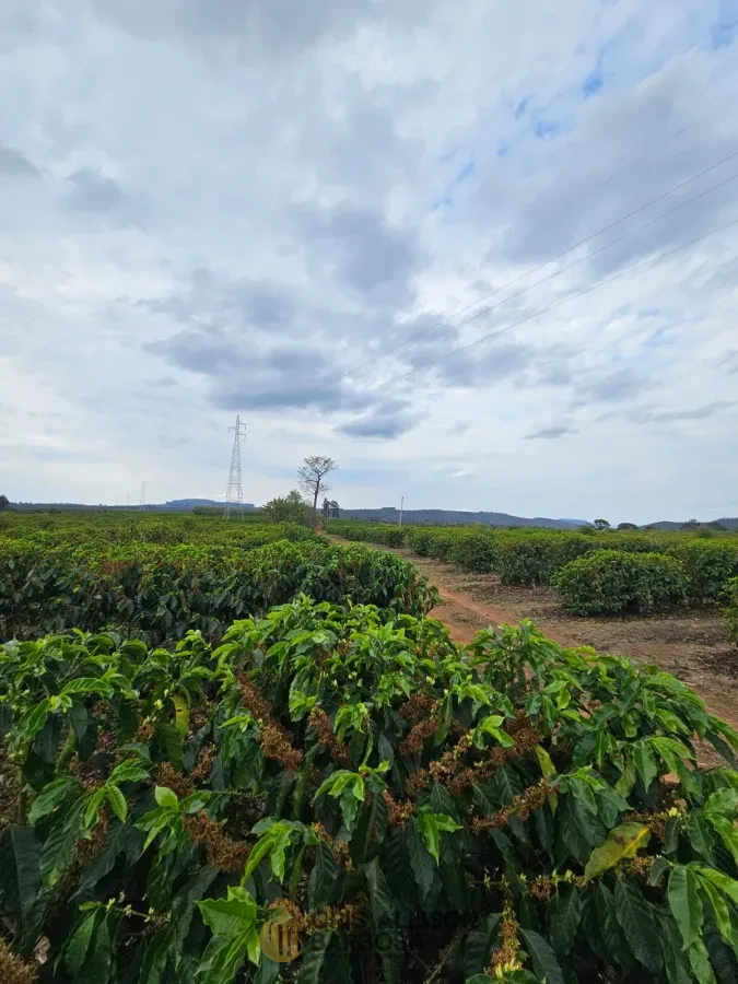 Imagem de FAZENDA À VENDA EM SETUBINHA-MG.