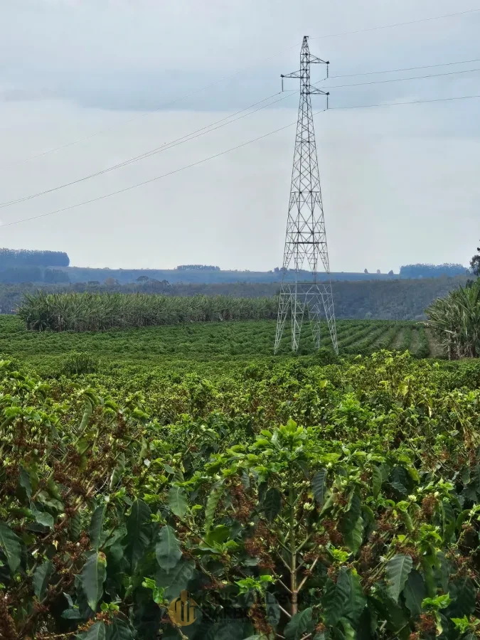 Imagem de FAZENDA À VENDA EM SETUBINHA-MG.