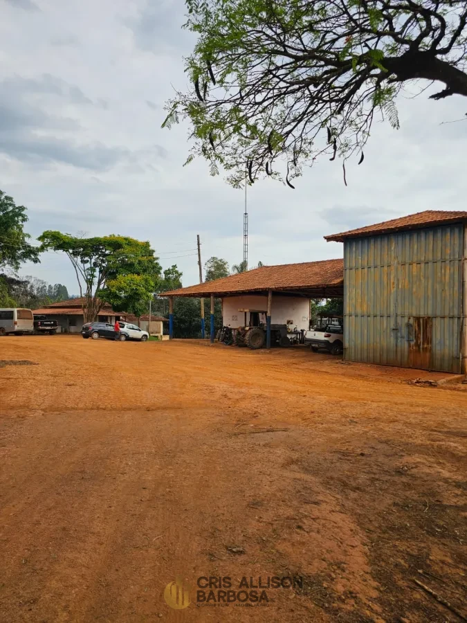 Imagem de FAZENDA À VENDA EM SETUBINHA-MG.