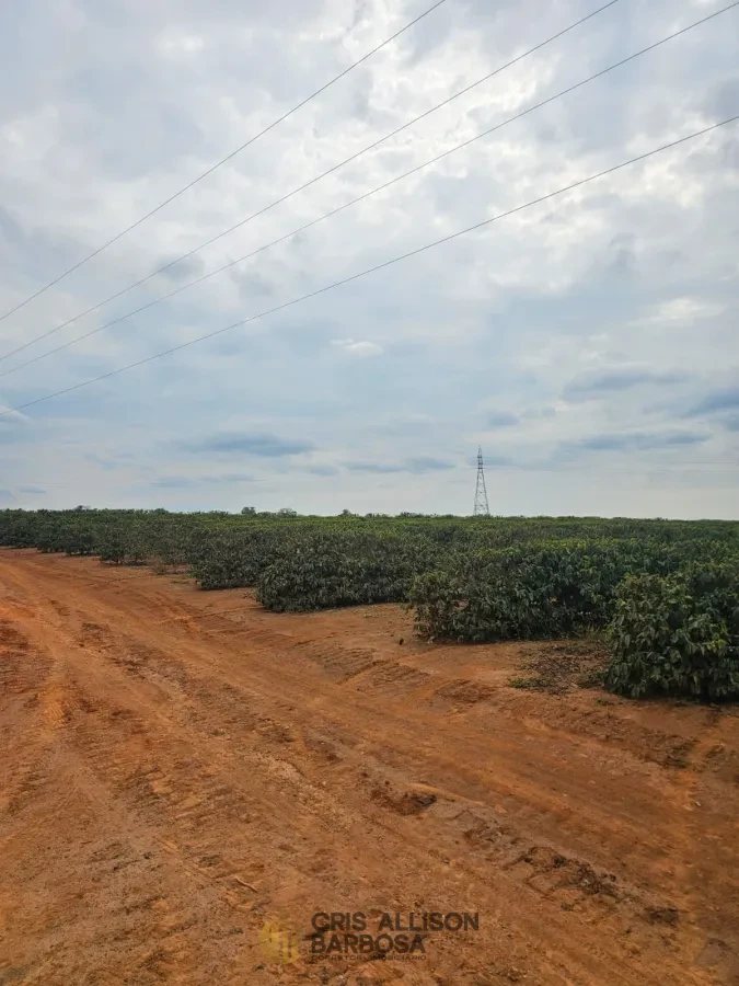 Imagem de FAZENDA À VENDA EM SETUBINHA-MG.