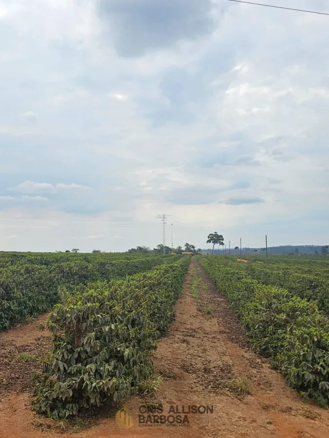 Imagem de FAZENDA À VENDA EM SETUBINHA-MG.
