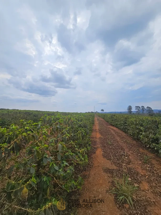 Imagem de FAZENDA À VENDA EM SETUBINHA-MG.