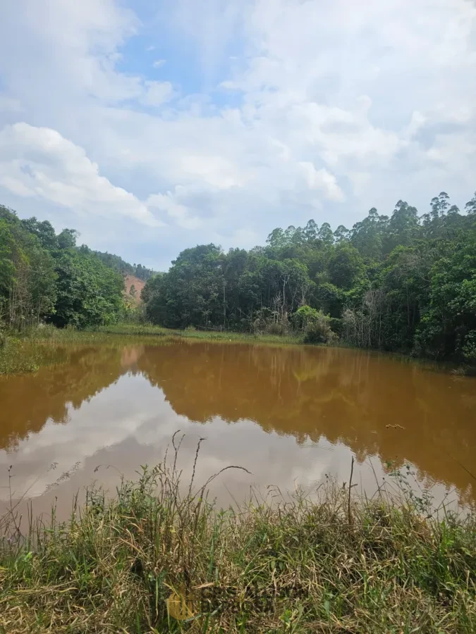 Imagem de FAZENDA À VENDA EM SETUBINHA-MG.