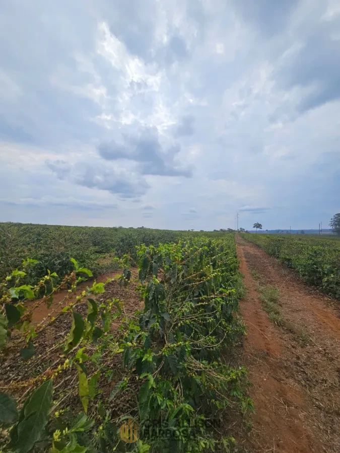 Imagem de FAZENDA À VENDA EM SETUBINHA-MG.