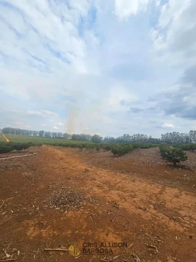Imagem de FAZENDA À VENDA EM SETUBINHA-MG.