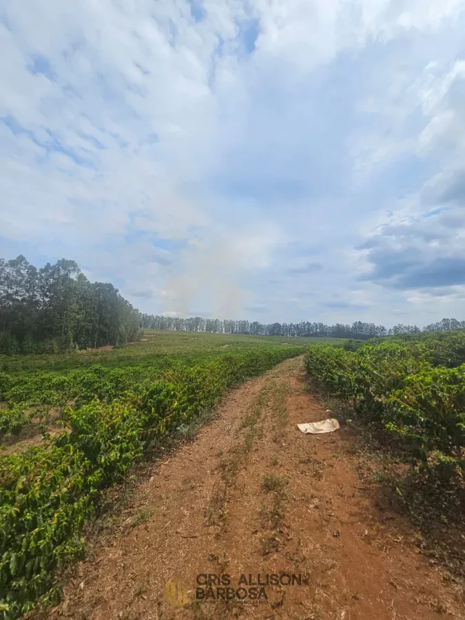 Imagem de FAZENDA À VENDA EM SETUBINHA-MG.