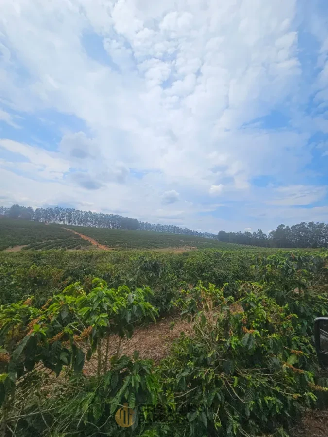 Imagem de FAZENDA À VENDA EM SETUBINHA-MG.