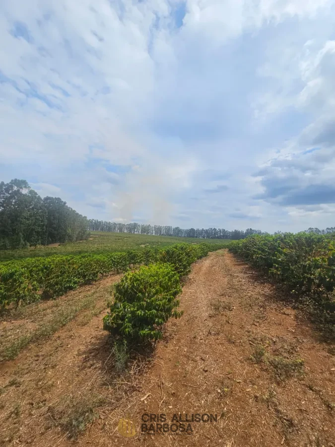 Imagem de FAZENDA À VENDA EM SETUBINHA-MG.