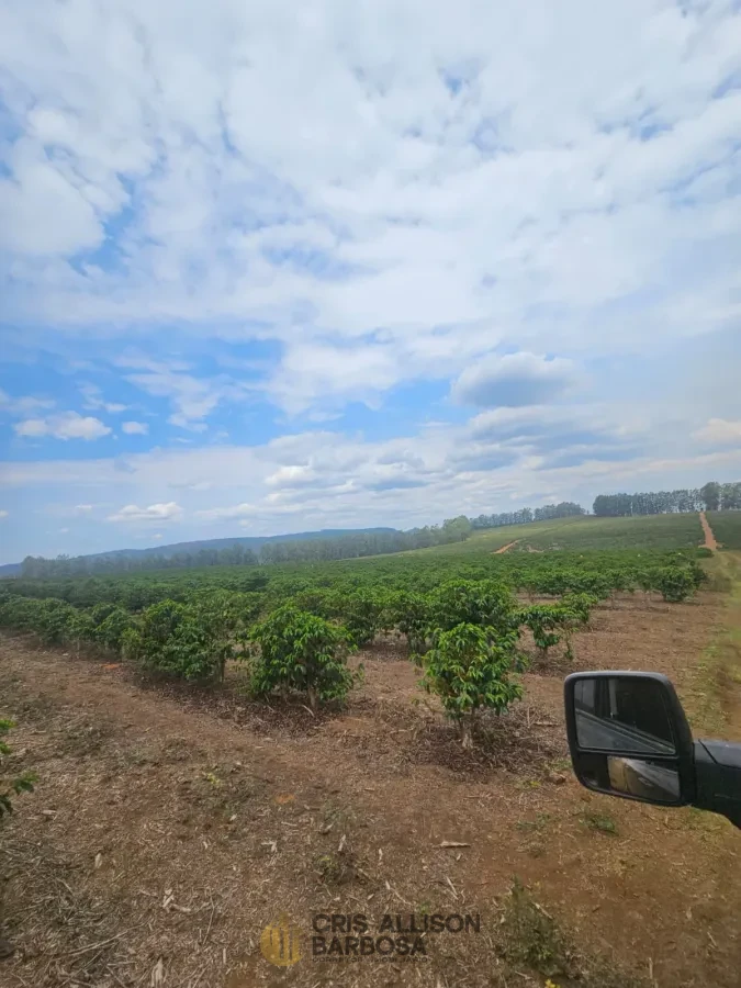 Imagem de FAZENDA À VENDA EM SETUBINHA-MG.