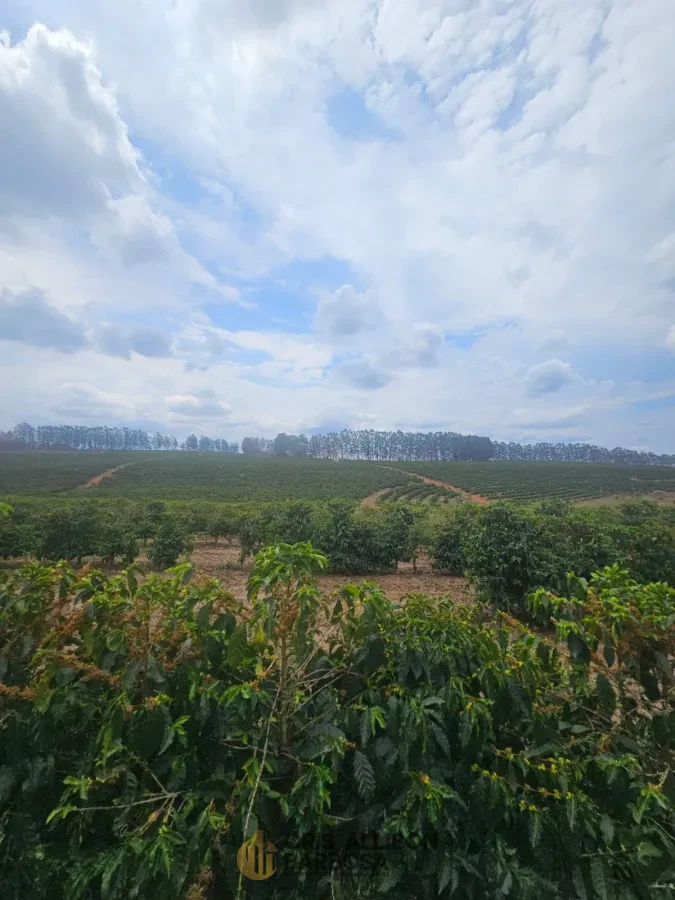 Imagem de FAZENDA À VENDA EM SETUBINHA-MG.