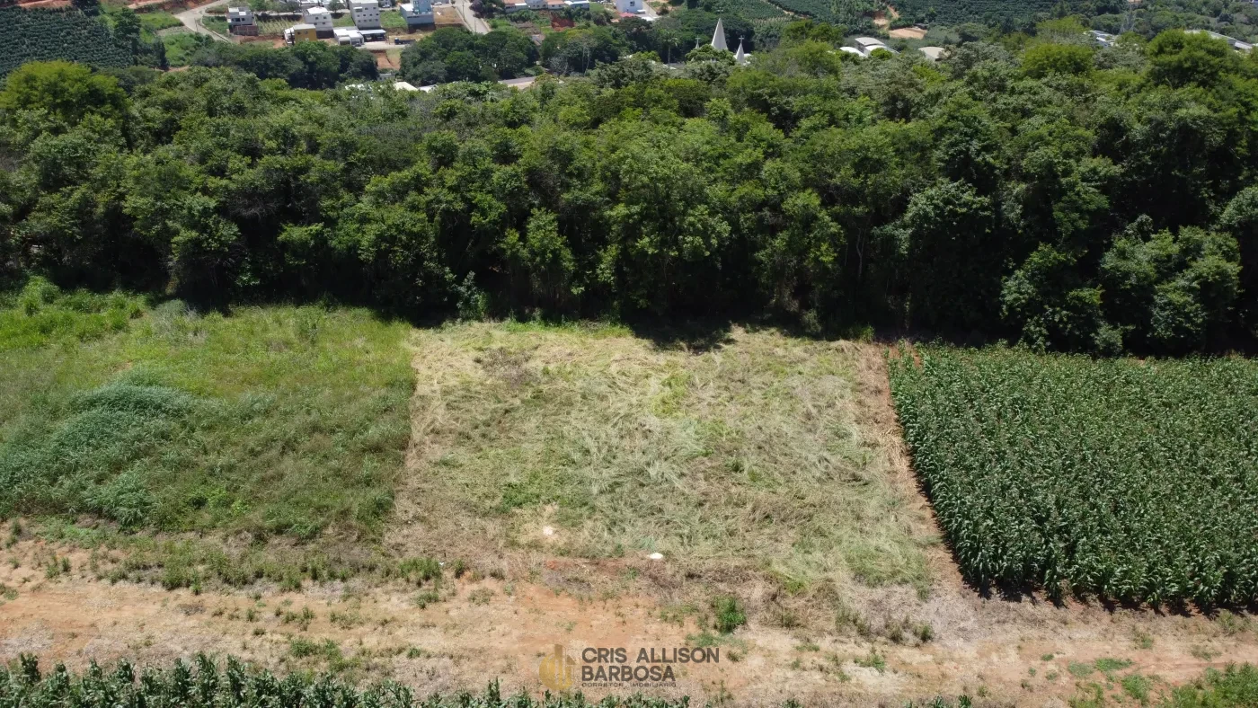 Imagem de Está pronto para dar o primeiro passo rumo à conquista do seu lar?