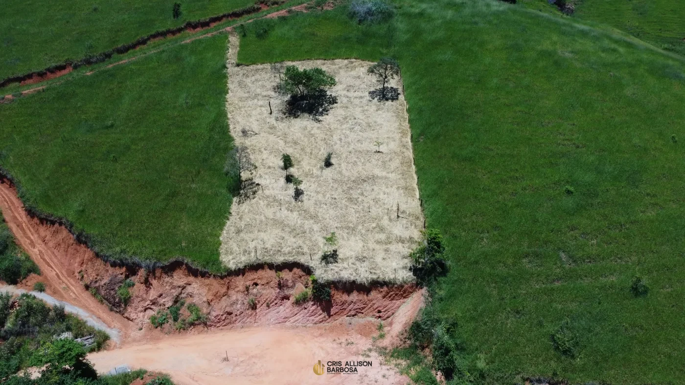 Imagem de Terreno de 900m² no Bairro São Lucas em Inhapim – Ideal para Sua Chácara ou Casa dos Sonhos!