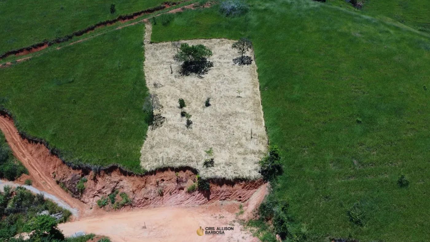 Imagem de Terreno de 900m² no Bairro São Lucas em Inhapim – Ideal para Sua Chácara ou Casa dos Sonhos!