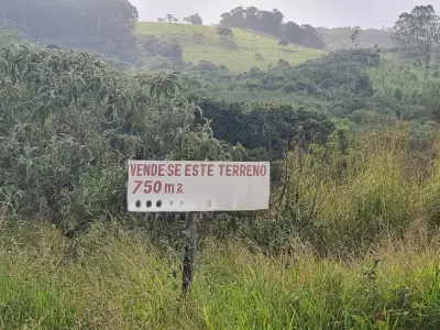 Imagem de Terreno em Povoado do Canela