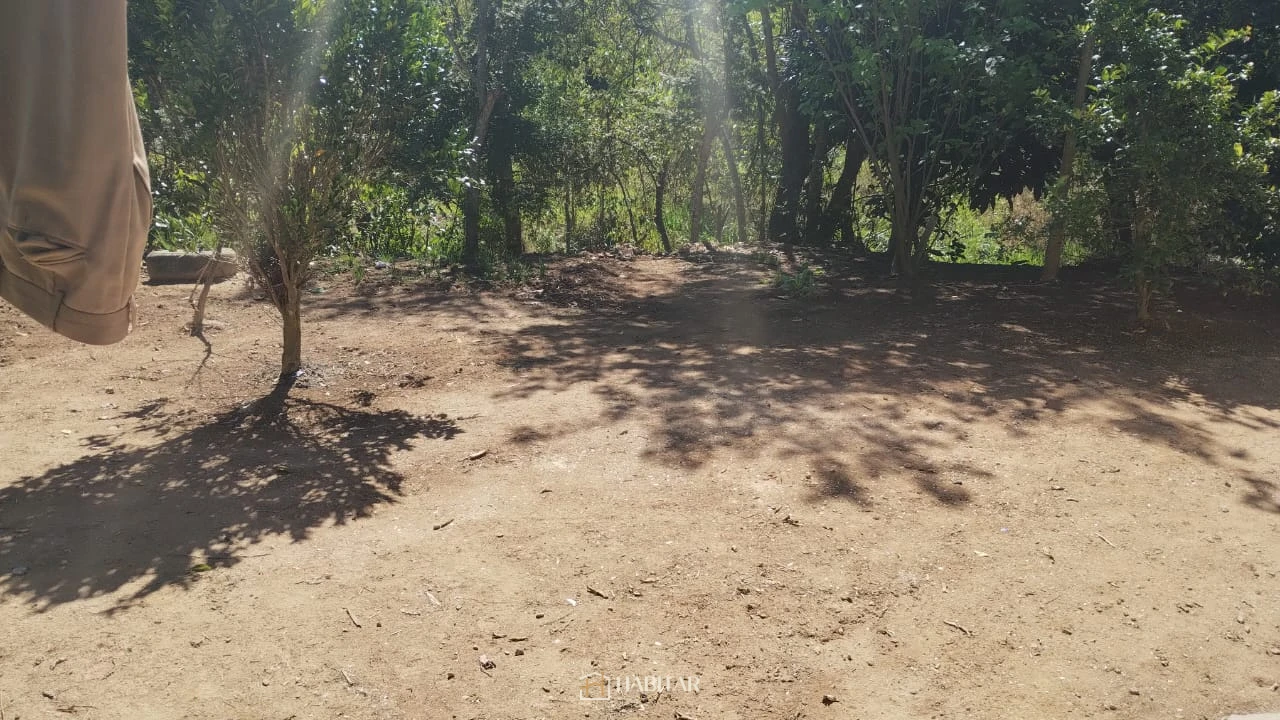 Imagem de Casa em Lagoa Dourada