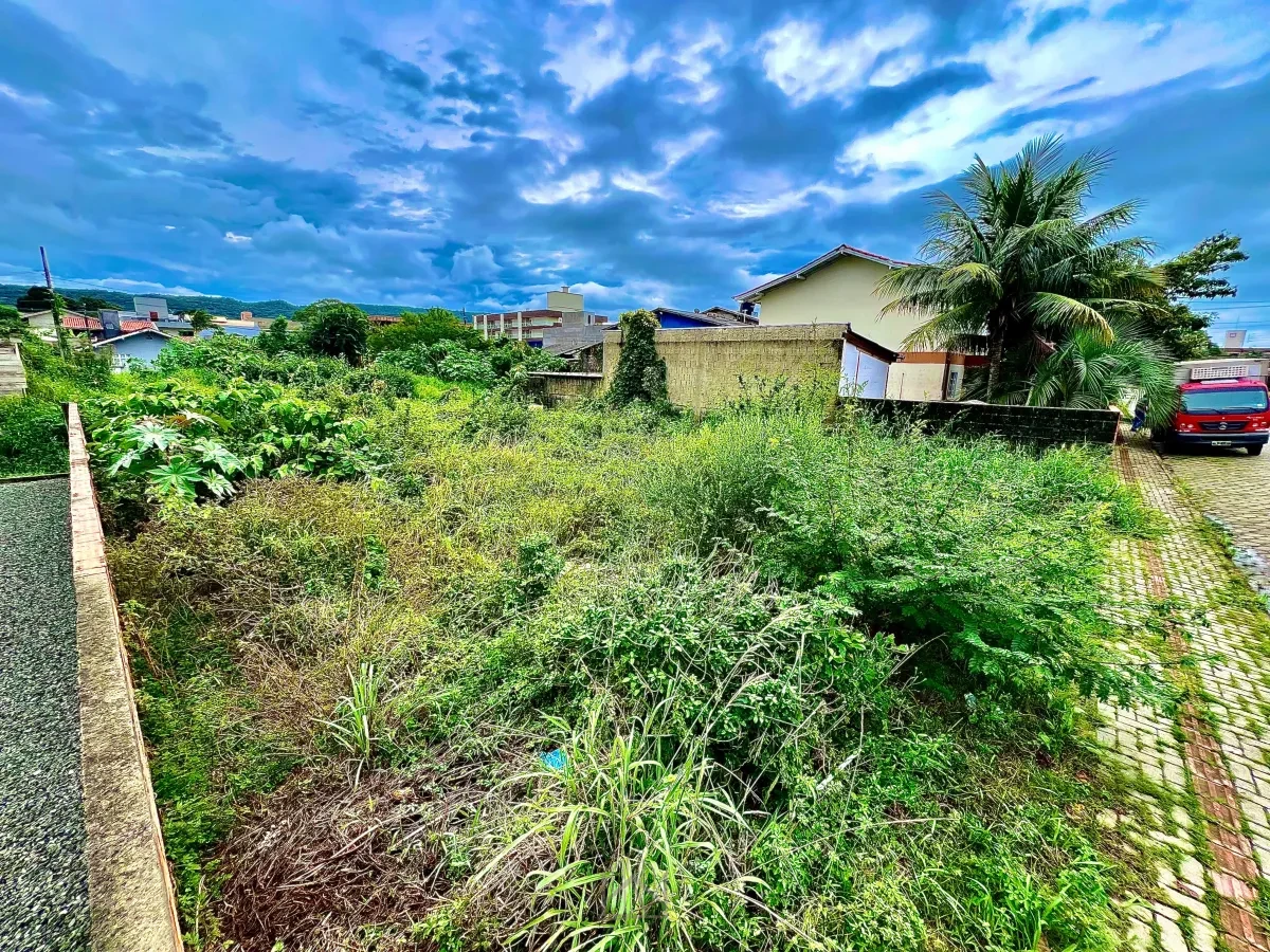 Imagem de Terreno Bairro José Amândio