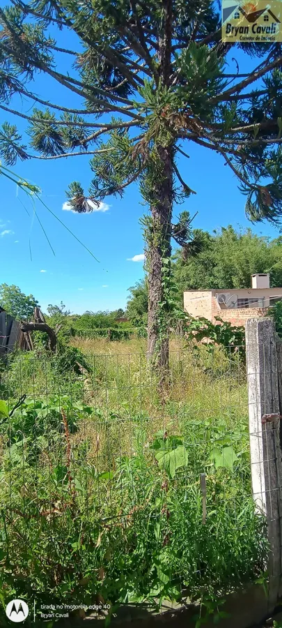 Imagem de CASA DE ALVENARIA