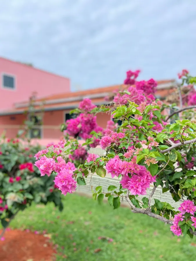 Imagem de Casa com terreno amplo