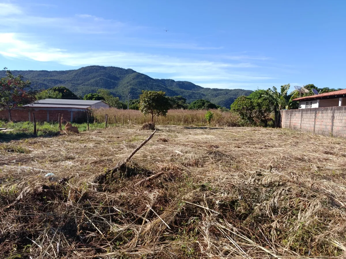 LOTE NA ENTRADA DA CIDADE - Setor Leste, Teresina de Goiás [9]
