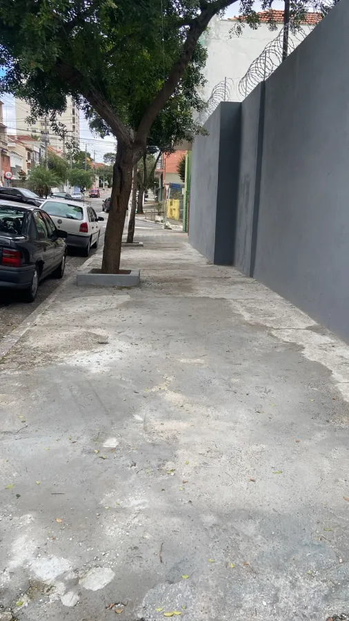 Imagem de Terrenos no Cambuci