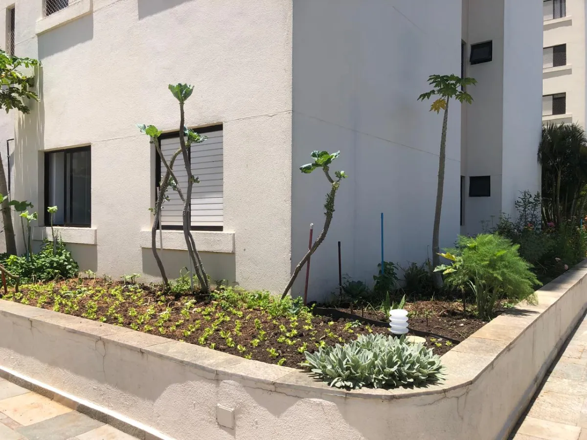 Imagem de Apartamento à venda ou para locação no Jabaquara