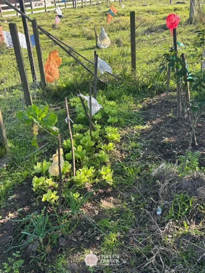 Imagem de SITIO PROXIMO CHACARA DAS PEDRAS