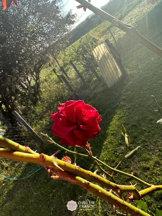 Imagem de SITIO PROXIMO CHACARA DAS PEDRAS