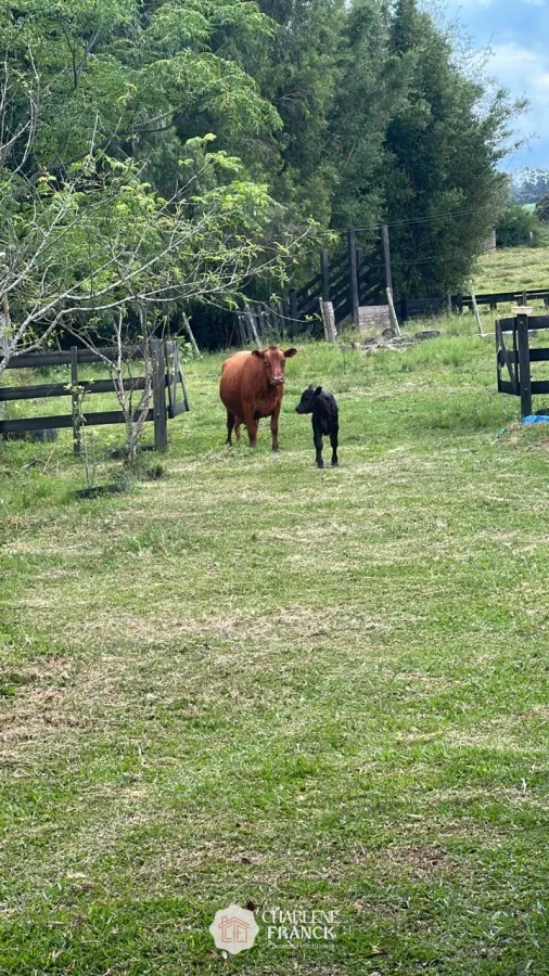 Imagem de SITIO PROXIMO CHACARA DAS PEDRAS