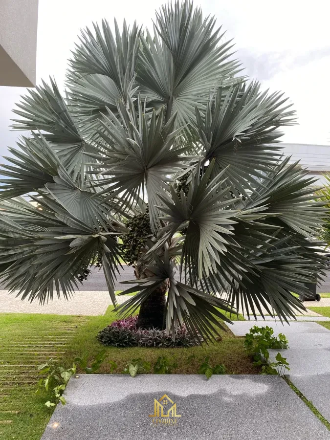 Imagem de Casa de Alto Padrao