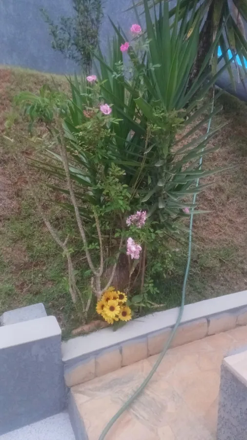 Imagem de Casa em condomínio