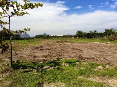 Imagem de Terreno