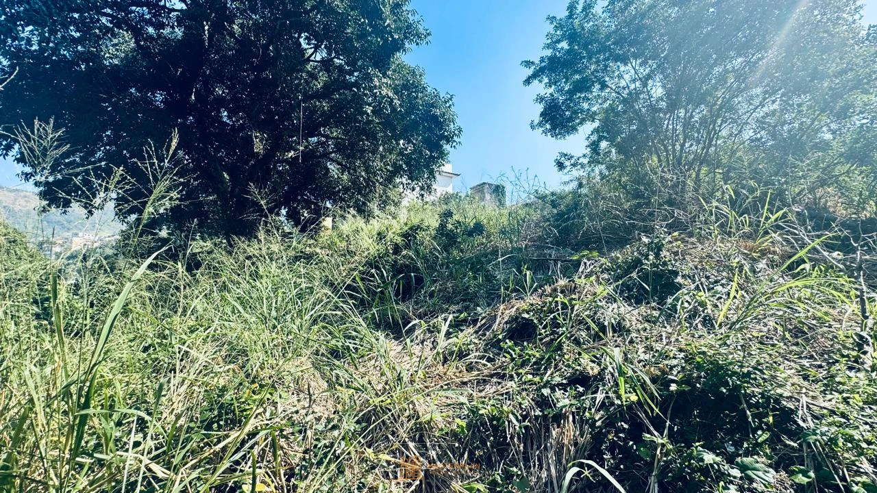 Imagem de Terreno