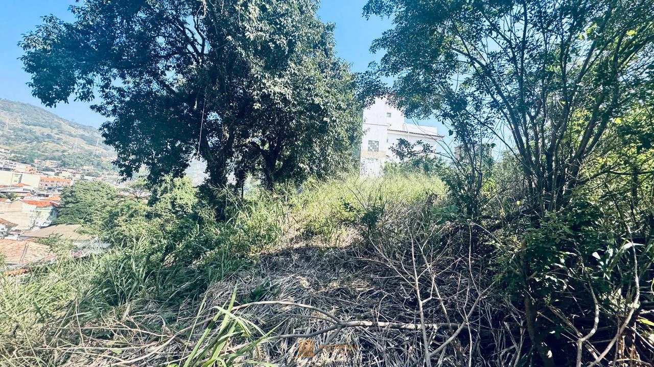 Imagem de Terreno