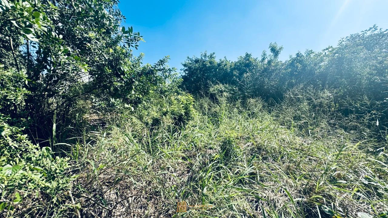 Imagem de Terreno
