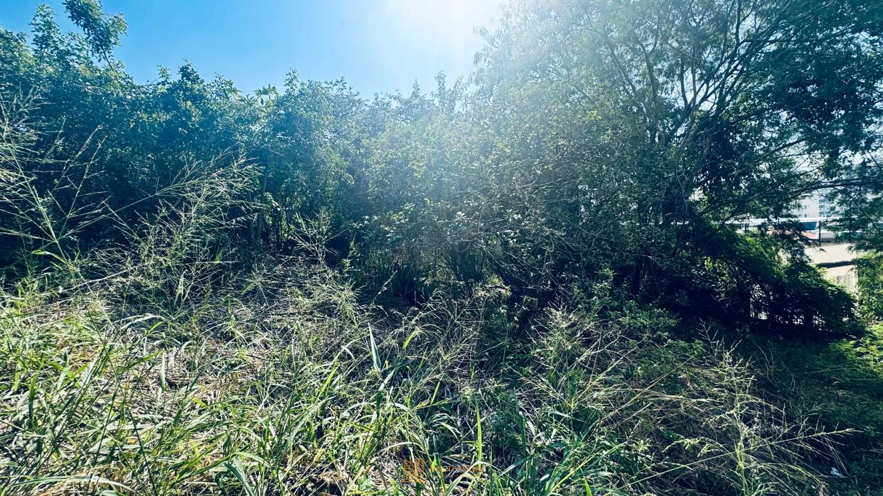 Imagem de Terreno