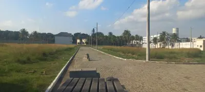 Imagem de Terreno
