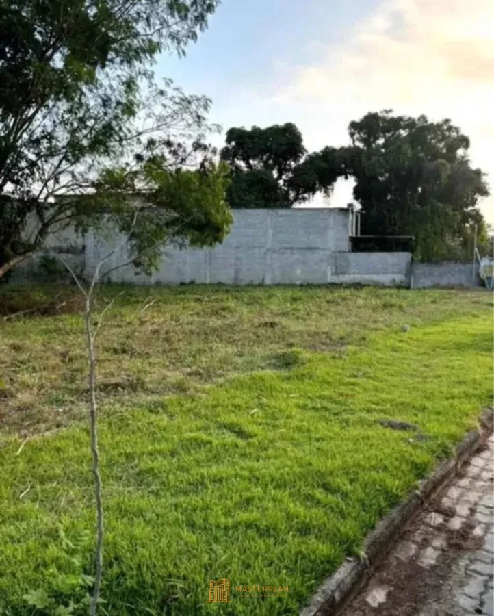 Imagem de Lote