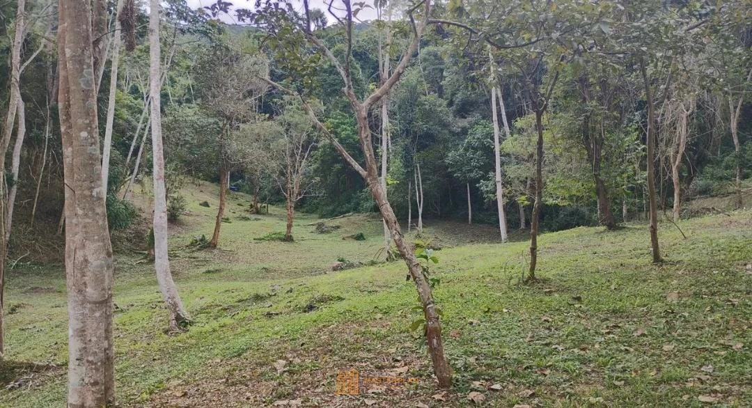 Imagem de Terreno
