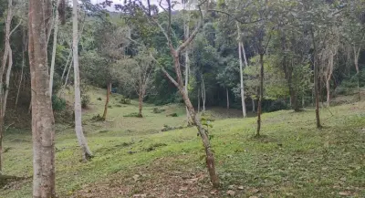 Imagem de Terreno