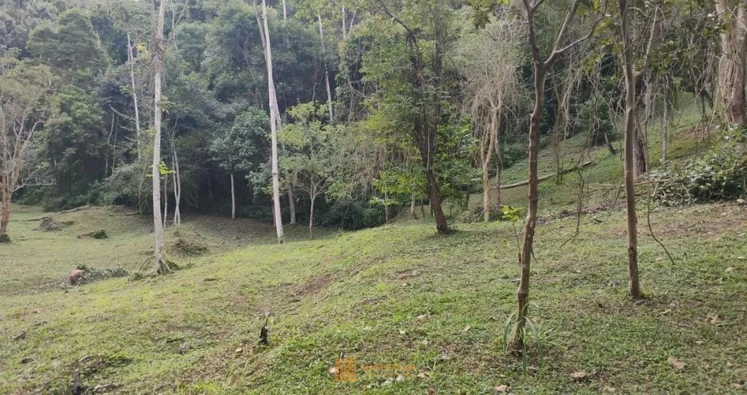 Imagem de Terreno