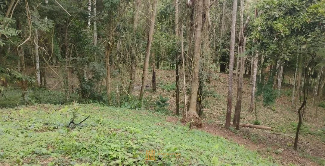 Imagem de Terreno