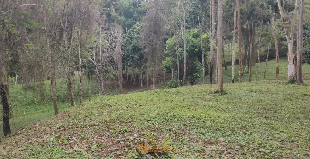 Imagem de Terreno