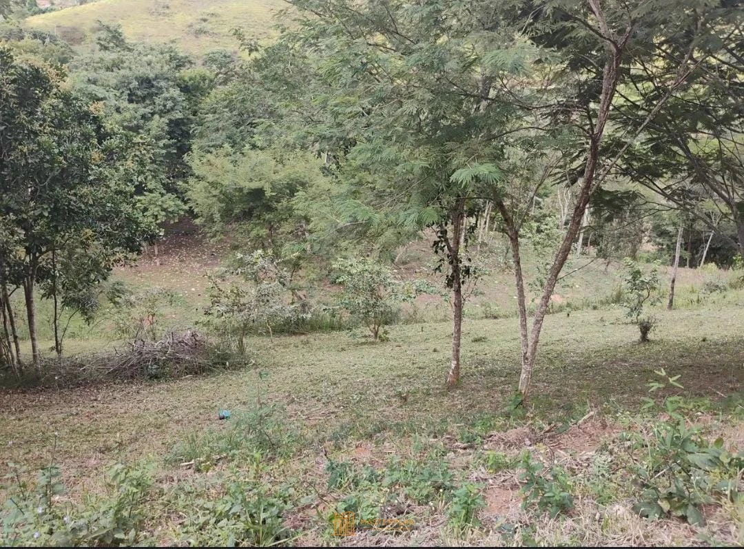 Imagem de Terreno