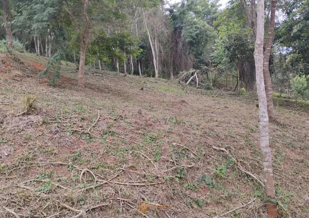 Imagem de Terreno