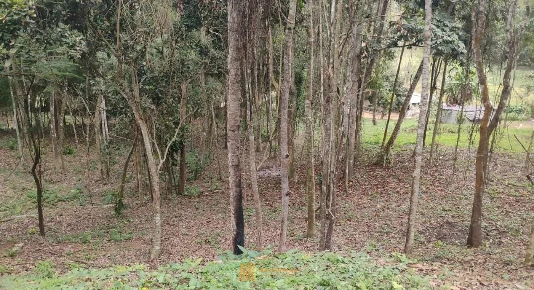 Imagem de Terreno